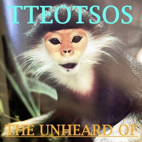 Softness cover art