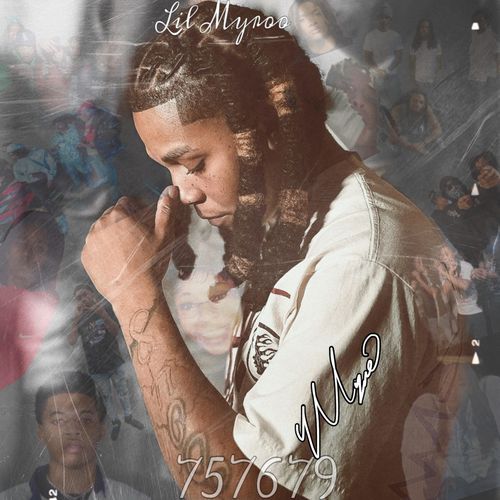 Shark cover art