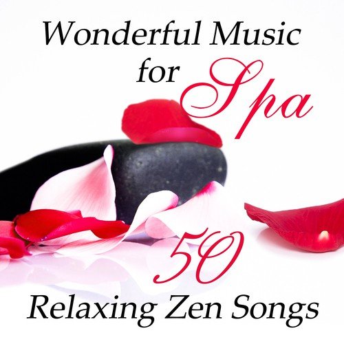Wonderful Music for Spa: 50 Relaxing Zen Songs and Nature Sounds for Massage, Therapy & Healing Music