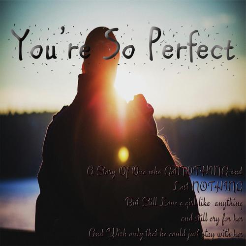 You're So Perfect (Instrumental)