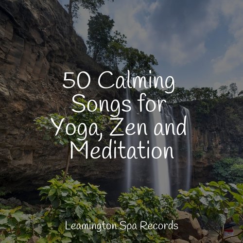 50 Calming Songs for Yoga, Zen and Meditation