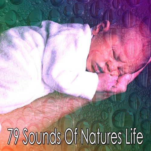 79 Sounds Of Natures Life