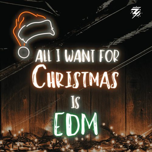 ALL I WANT FOR CHRISTMAS IS EDM_poster_image