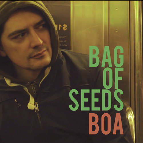 Bag of Seeds_poster_image