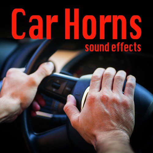 Audi A4 Car Horn