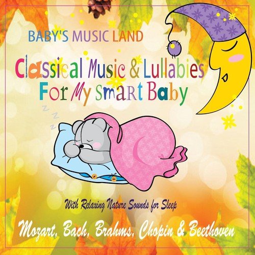 Baby's Music Land