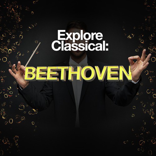 Explore Classical Beethoven Songs Download Free Online Songs JioSaavn