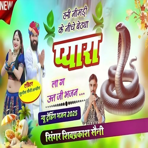 Hari Neemdi Ke Niche Baithya Pyara Laag