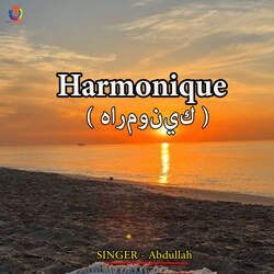 Harmonique-CDAPWU1-Rkc