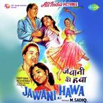 Bahar Leke Aai Qarar Leke Aai