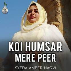 Koi Humsar Mere Peer