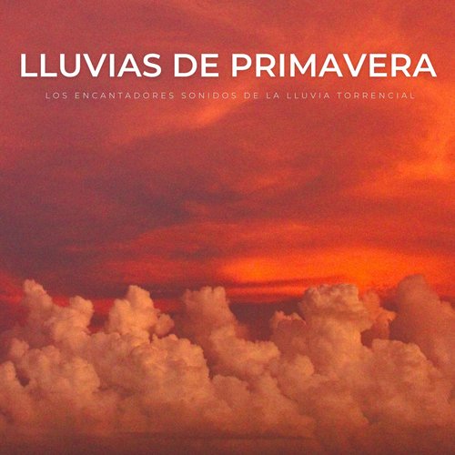 Lluvias De Primavera: Los Encantadores Sonidos De La Lluvia Torrencial