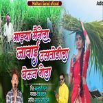 Mazya Mainela Javai Ustodila Gheun Gela