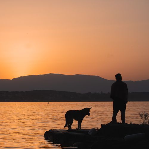 Mounts (David Cranf Remix) cover art