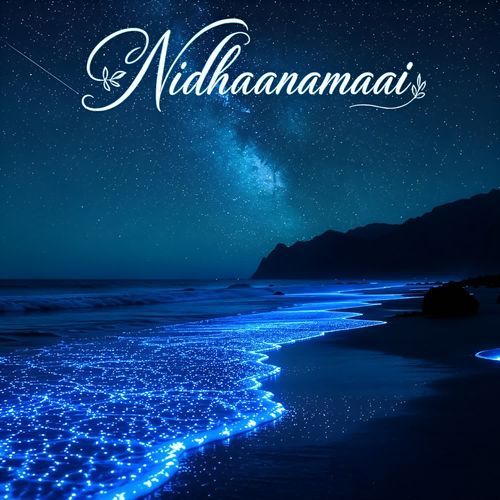 Nidhaanamaai