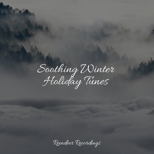 Soothing Winter Holiday Tunes_poster_image