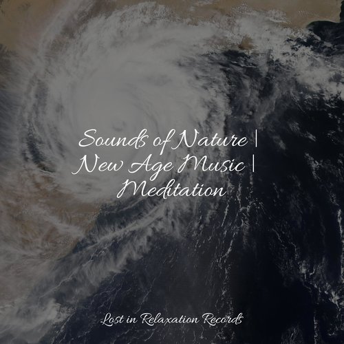 Sounds of Nature | New Age Music | Meditation