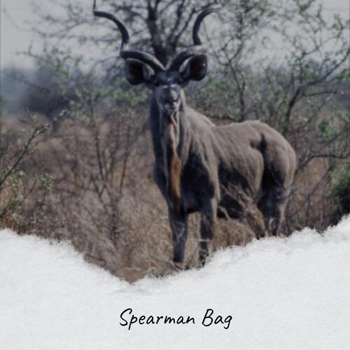Spearman Bag