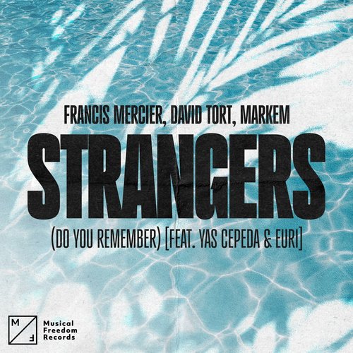 Strangers (Do You Remember) [feat. Yas Cepeda]_poster_image