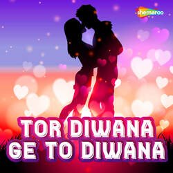 Tor Diwana Ge Tor Diwana-MlAEVB98WF4