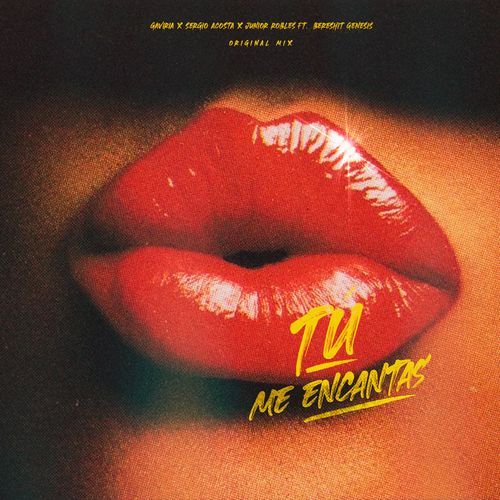 Tu me encantas (feat. Bereshit Genesis)_poster_image