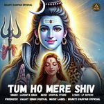 Tum Ho Mere Shiv