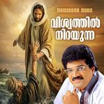 Viswathil Nirayunna