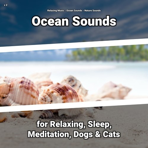 Ocean Waves Sounds cover art