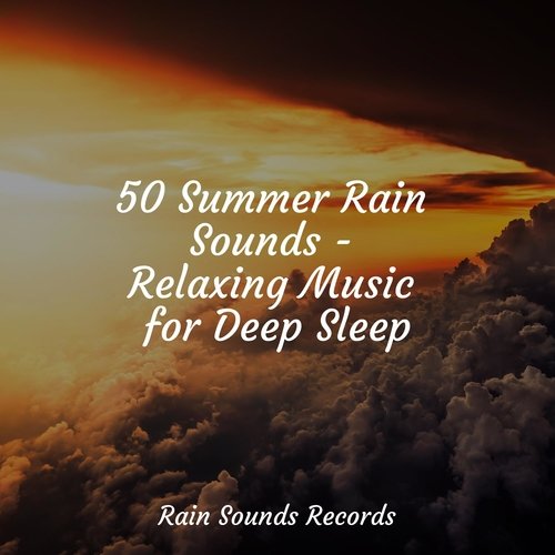 50 Summer Rain Sounds - Relaxing Music for Deep Sleep