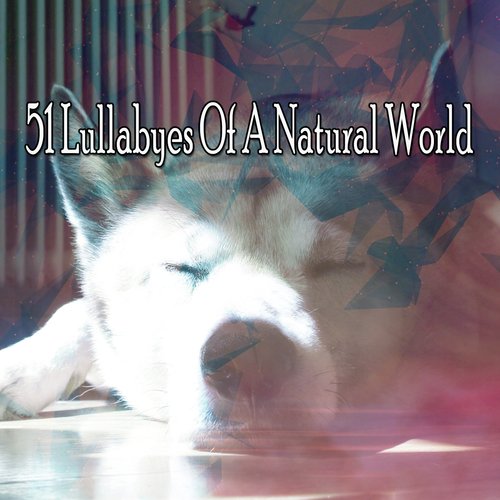 51 Lullabyes Of A Natural World