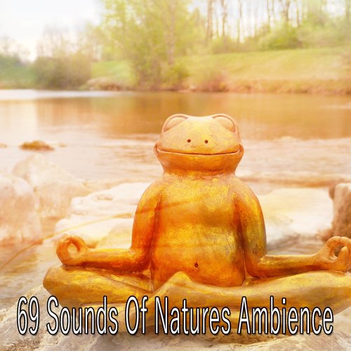 69 Sounds Of Natures Ambience