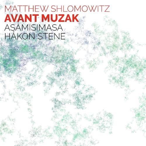 Avant Muzak_poster_image