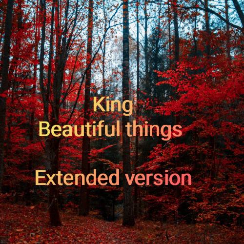 Beautiful things (Extended Version)