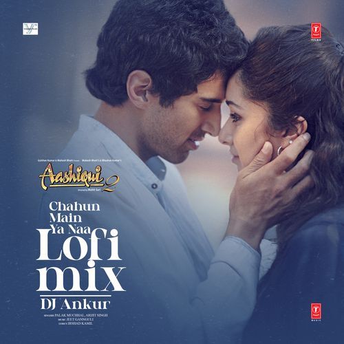 Chahun Main Ya Naa Lofi Mix(Remix By Dj Ankur)