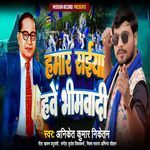 Hamar Saiya Hawe Bhimwadi