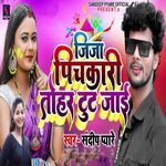 Jija Pichkari Tohar Tut Jaayi