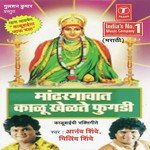 Aai Chapyachya Jhadavar