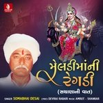 Meldimani Regdi Sachana Ni Vaat, Vol. 1