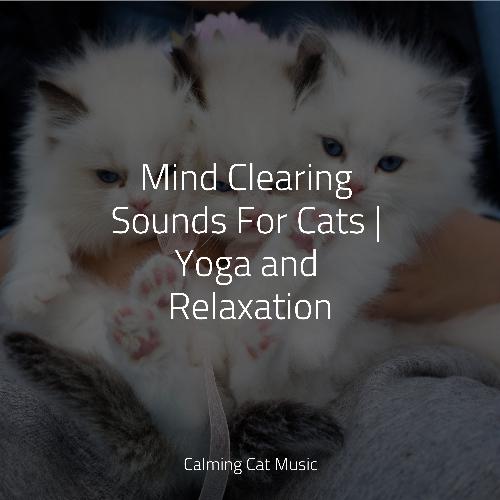 Lazy Morning cover art