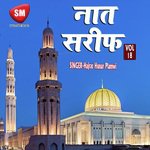 Naat Sharif Vol-18 (Urdu Islamic Naat)