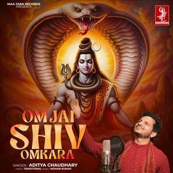 Om Jai Shiv Omkara Aarti-ChIJaxlqVgo