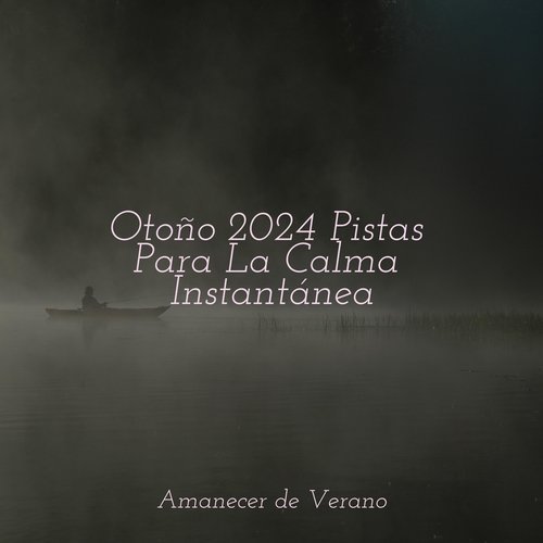 Otoño 2024 Pistas Para La Calma Instantánea