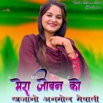 मेरा जोबन को खजानो अनमोल मेवाती