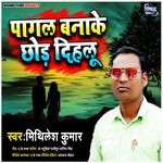 Pagal Banake Chhod Dihalu