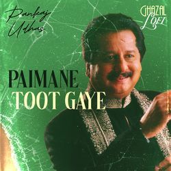 Paimane Toot Gaye (Ghazal Lofi)-FQRcaRlheXE