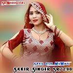 Sakir Singer 7290