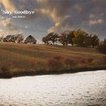 Say Goodbye