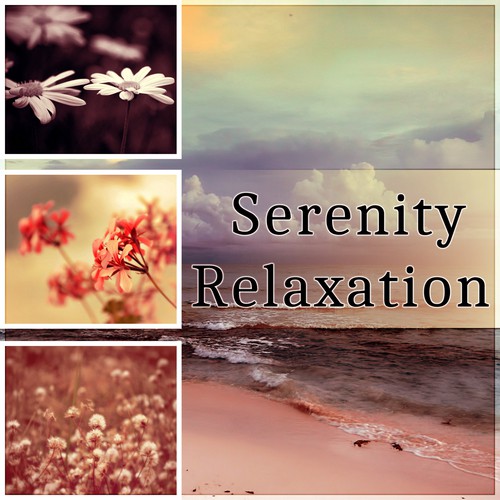 Serenity Relaxation cover art