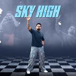 Sky High