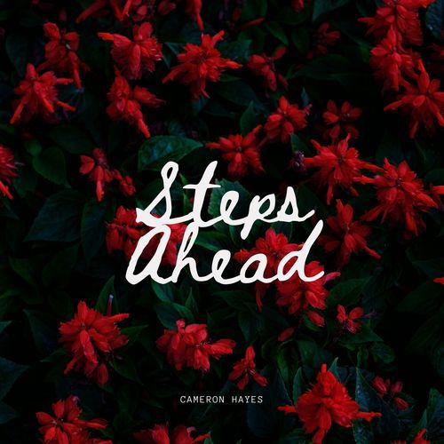 Steps Ahead